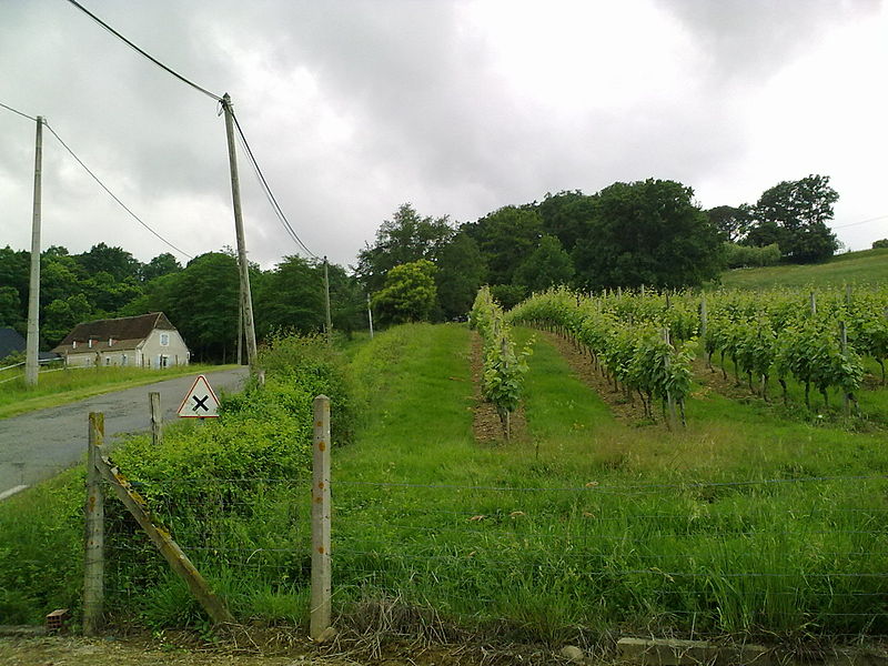 Elegant Manor House with Renovated Barn - Business Potential