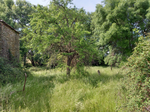 Quinta Rio Alcains - Rivierfront Perceel van 6.000m² te Renoveren